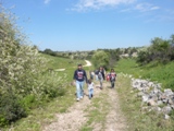 Clicca qui per vedere l'immagine in dettaglio